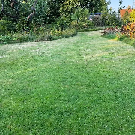 Thatched Near Vakantiehuis