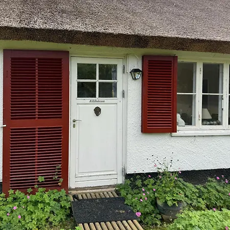 Thatched Near Vakantiehuis *