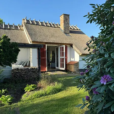 Ferienhaus Thatched Near