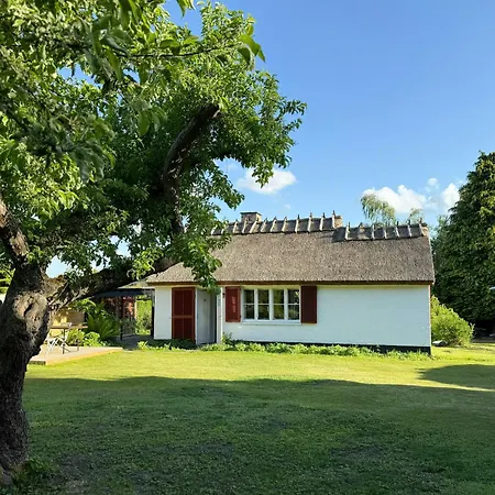 Thatched Near Ferienhaus *