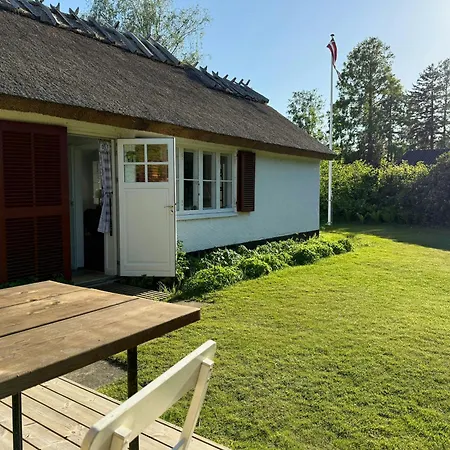 Thatched Near